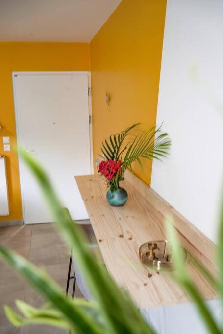 Le Marie-Agnes Appartement Neuf De Standing Fort-de-France Eksteriør billede